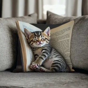 chaton assoupi canapé gris