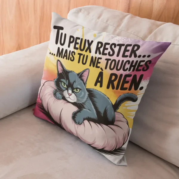 Coussin Chat Insolent Ne touche à rien dans canapé