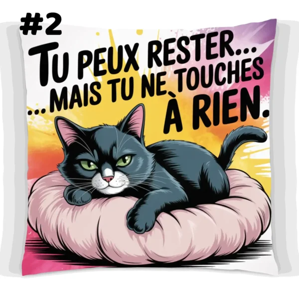 Coussin Chat Insolent Ne touche à rien