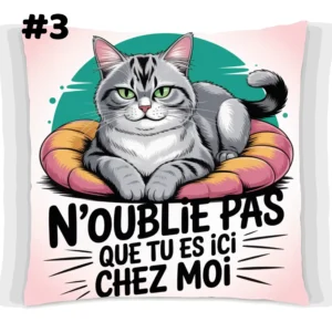 Coussin Chat Insolent Tu es chez moi